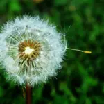 Hvorfor er nogle morgenkåber så dyre?